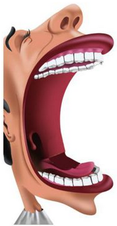 初級(jí)會(huì)計(jì)考試 初級(jí)會(huì)計(jì)考試