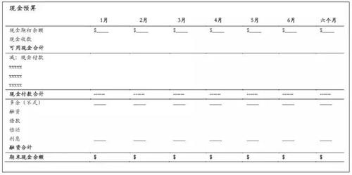 現(xiàn)金預(yù)算 現(xiàn)金預(yù)算