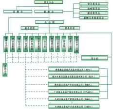 高級會計(jì)師
