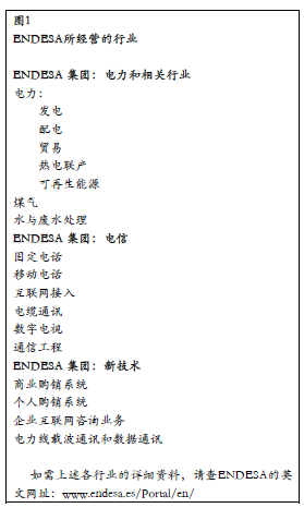 圖1 ENDESA所經(jīng)營的行業(yè)