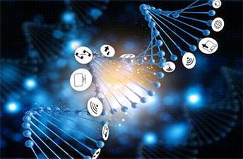 中級(jí)會(huì)計(jì)職稱