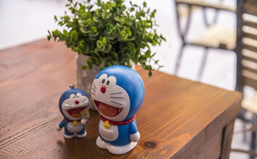 會(huì)計(jì)從業(yè)