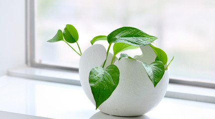 高級會計師考試報名