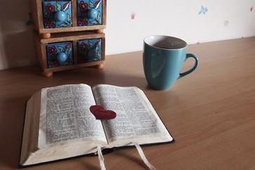 高級(jí)會(huì)計(jì)師考試