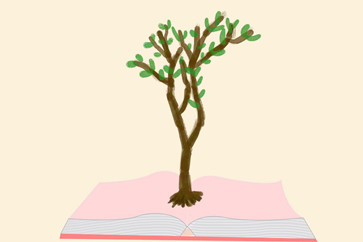 中級(jí)會(huì)計(jì)報(bào)考