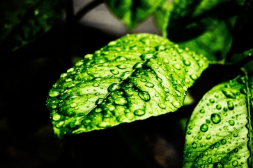 證券從業(yè)考試