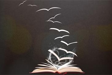 中級(jí)會(huì)計(jì)