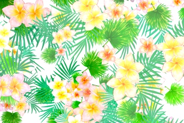 證券從業(yè)考試