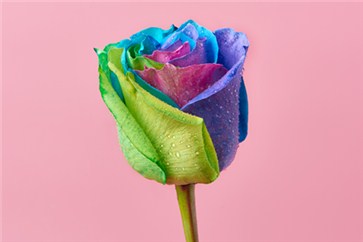 如何取得2018年注會考試合格證證書，待遇好嗎？