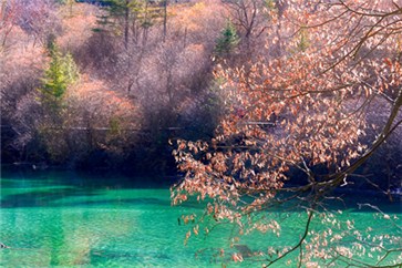 2018年中國注冊會計師考試時間，有補報名入口嗎？