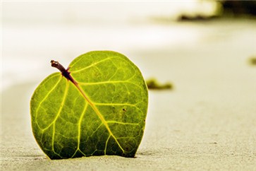 2018注冊會計師考試會很難嗎？應(yīng)該幾年內(nèi)考完？