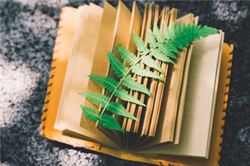 注冊會計師通過率怎么樣？對于求職有幫助嗎？