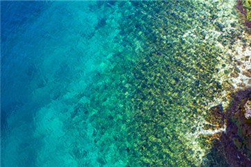 注冊(cè)會(huì)計(jì)師考試有多難考？難在哪兒？