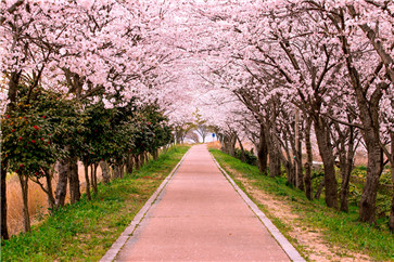 注冊(cè)會(huì)計(jì)師