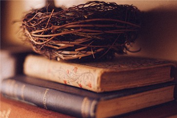 注會(huì)考試科目時(shí)間安排，會(huì)計(jì)科目有什么特殊安排？