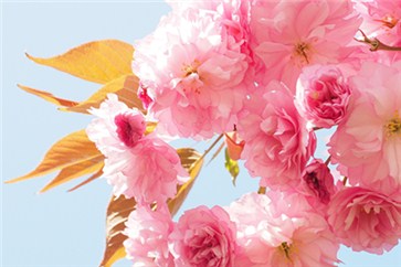 想通過注會綜合？那么備考必須對癥下藥！