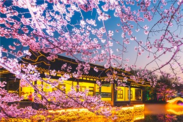 四川省注冊(cè)會(huì)計(jì)師考試時(shí)間，綜合階段備考如何分配時(shí)間？