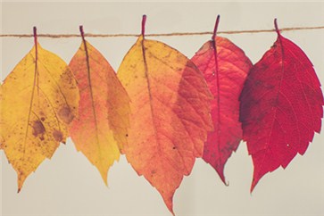 想對(duì)注會(huì)的知識(shí)點(diǎn)過(guò)目不忘？試試這些方法