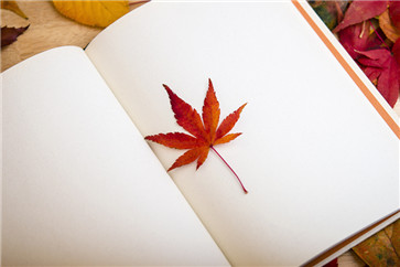 退休人員再任職收入個人所得稅計(jì)算