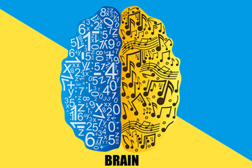 注冊會計師戰(zhàn)略學(xué)習(xí)計劃