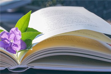 河南省注冊會計師考試時間？各類題型有什么答題技巧？