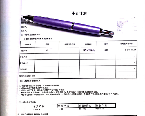 工作底稿中審計(jì)計(jì)劃里如何確定重要性的內(nèi)容