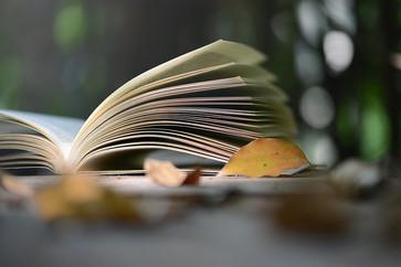 高級會計師輕松過關(guān)輔導(dǎo)書考點(diǎn)地圖有什么用？