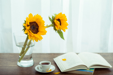 《中級(jí)財(cái)務(wù)管理》沖刺階段學(xué)習(xí)計(jì)劃