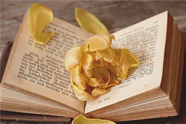 2019年注會報名條件，準(zhǔn)備報考的考生看過來