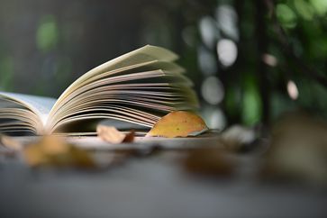 稅務(wù)師考試什么時候進(jìn)行