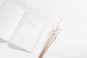 《稅務(wù)檢查證管理辦法》發(fā)布，明年1月1日起實施