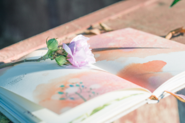 2018初級(jí)會(huì)計(jì)師9月份每日一練匯總 2018初級(jí)會(huì)計(jì)師9月份每日一練匯總