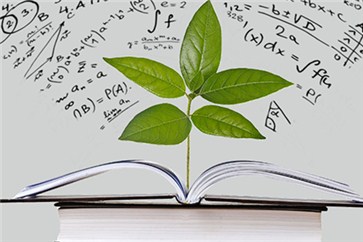 備考注會即將進(jìn)入沖刺階段，需要注意什么？