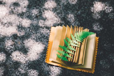 稅務(wù)師是什么？薪資待遇怎么樣？