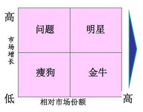 企業(yè)戰(zhàn)略與風(fēng)險管理1