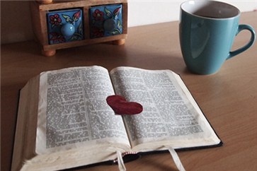 2019年注會綜合如何備考才能更高效？