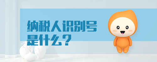納稅人識(shí)別號(hào)是什么