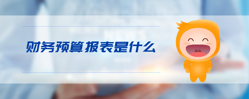 財(cái)務(wù)預(yù)算報(bào)表是什么