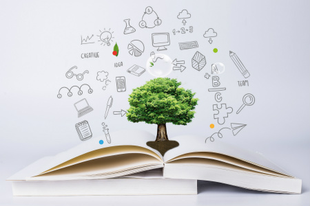 2019年初級會計師考點(diǎn)這么講，不擔(dān)心你會記不住！