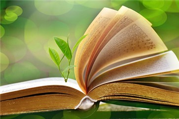 想要輕松備考注會(huì)，這些學(xué)習(xí)上的小細(xì)節(jié)需要注意