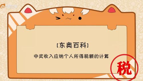 初級(jí)會(huì)計(jì)個(gè)人所得稅