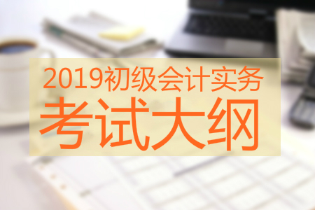 2019年初級會計實務(wù)考試大綱