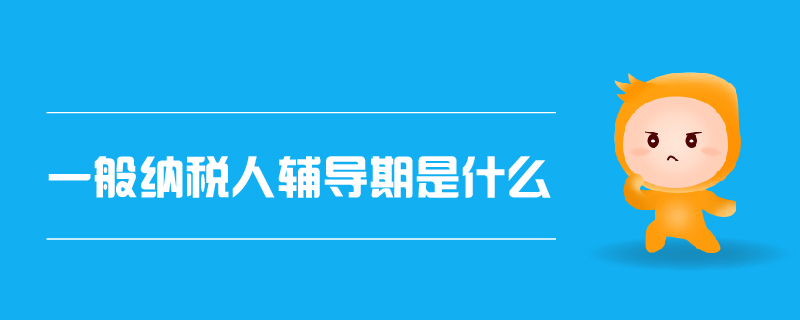 一般納稅人輔導(dǎo)期是什么 一般納稅人輔導(dǎo)期是什么
