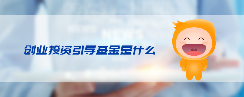 創(chuàng)業(yè)投資引導(dǎo)基金是什么