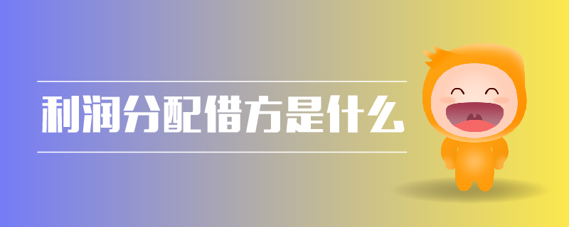 利潤(rùn)分配借方是什么 利潤(rùn)分配借方是什么