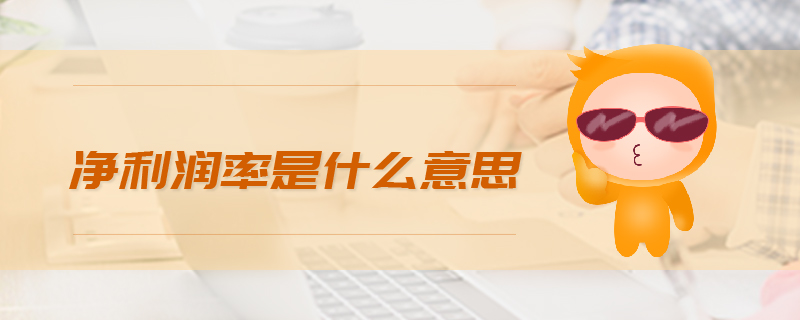 凈利潤(rùn)率是什么意思