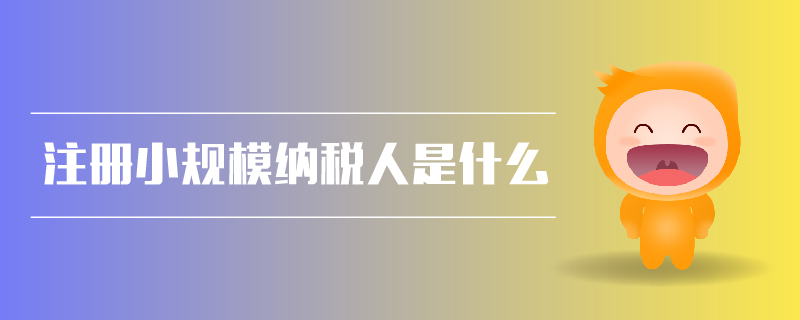 注冊(cè)小規(guī)模納稅人是什么