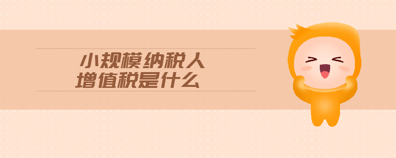 小規(guī)模納稅人增值稅是什么
