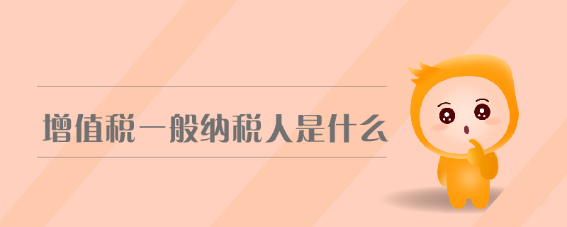 增值稅一般納稅人是什么