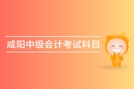 咸陽2019年中級會計考試科目都有什么？